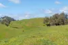 362 Watchbox Road, Barfold, Vic 3444-Image