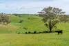 362 Watchbox Road, Barfold, Vic 3444-Image