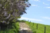 365 Limonite Road, Boolarra South, Vic 3870-Image