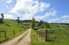 365 Limonite Road, Boolarra South, Vic 3870-Image