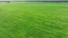 382  Sandy Bridge Road, Barham, NSW 2732