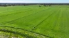 382  Sandy Bridge Road, Barham, NSW 2732-Image