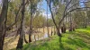 382  Sandy Bridge Road, Barham, NSW 2732-Image