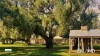 382  Sandy Bridge Road, Barham, NSW 2732-Image