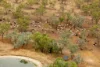 3865 Stuart Highway, Birdum, NT 0852-Image