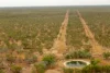 3865 Stuart Highway, Birdum, NT 0852-Image
