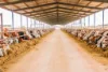 3865 Stuart Highway, Birdum, NT 0852-Image