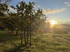 389 Kent Road, Orange, NSW 2800-Image