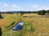389 Upper Lansdowne Rd, Melinga, NSW 2430-Image