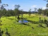 389 Upper Lansdowne Rd, Melinga, NSW 2430-Image