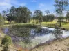 389 Upper Lansdowne Rd, Melinga, NSW 2430-Image