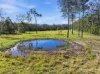 389 Upper Lansdowne Rd, Melinga, NSW 2430-Image