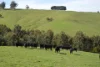 395 Holmes Road, Berrys Creek, Vic 3953-Image