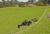 395 Holmes Road, Berrys Creek, Vic 3953-Image