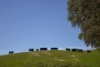 395 Holmes Road, Berrys Creek, Vic 3953-Image