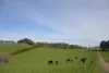 395 Holmes Road, Berrys Creek, Vic 3953-Image