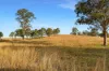 396 Kooralgin-Upper Yarraman Road, Kooralgin, Qld 4402-Image