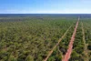 3965 Florina Road, Katherine, NT 0850-Image