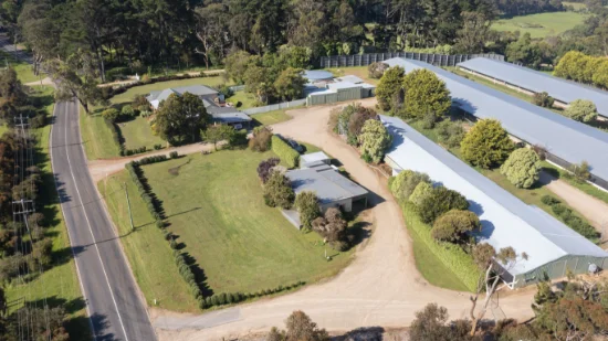 397-403 Main Creek Road, Main Ridge, Vic 3928