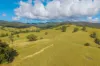 40 Ready Money Road, Upper Rollands Plains, NSW 2441-Image