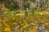 40 Ready Money Road, Upper Rollands Plains, NSW 2441-Image