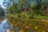 40 Ready Money Road, Upper Rollands Plains, NSW 2441-Image
