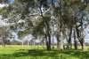 400 Castle Road, Nillup, WA 6288-Image