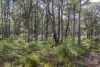 400 Castle Road, Nillup, WA 6288-Image