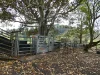 403 Wyndham Road, Kyogle, NSW 2474-Image