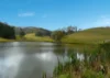 403 Wyndham Road, Kyogle, NSW 2474-Image