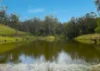 403 Wyndham Road, Kyogle, NSW 2474-Image