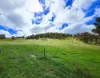 410 Honeysuckle Falls Road, Tarana, NSW 2787-Image