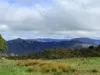 410 Honeysuckle Falls Road, Tarana, NSW 2787-Image