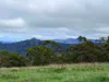 410 Honeysuckle Falls Road, Tarana, NSW 2787-Image