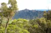 410 Honeysuckle Falls Road, Tarana, NSW 2787-Image