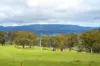 410 Honeysuckle Falls Road, Tarana, NSW 2787-Image