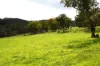 410 Honeysuckle Falls Road, Tarana, NSW 2787-Image