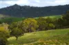 410 Honeysuckle Falls Road, Tarana, NSW 2787-Image