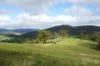 410 Honeysuckle Falls Road, Tarana, NSW 2787-Image