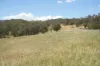 410 Honeysuckle Falls Road, Tarana, NSW 2787-Image