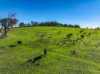 435 Perrams Road, Mudgee, NSW 2850-Image