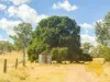 439 PHILPOTT ROAD, Philpott, Qld 4626-Image