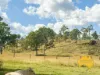 439 PHILPOTT ROAD, Philpott, Qld 4626-Image