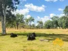439 PHILPOTT ROAD, Philpott, Qld 4626-Image