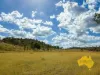 439 PHILPOTT ROAD, Philpott, Qld 4626-Image