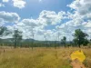 439 PHILPOTT ROAD, Philpott, Qld 4626-Image