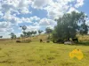 439 PHILPOTT ROAD, Philpott, Qld 4626-Image