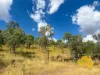 439 PHILPOTT ROAD, Philpott, Qld 4626-Image