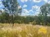439 PHILPOTT ROAD, Philpott, Qld 4626-Image