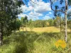 439 PHILPOTT ROAD, Philpott, Qld 4626-Image